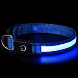 Pet charging and glowing collar