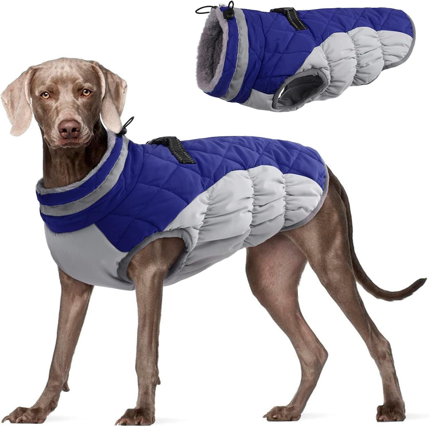 Winter Windproof Fleece-Lined Dog Coat