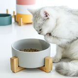 Cat food bowl