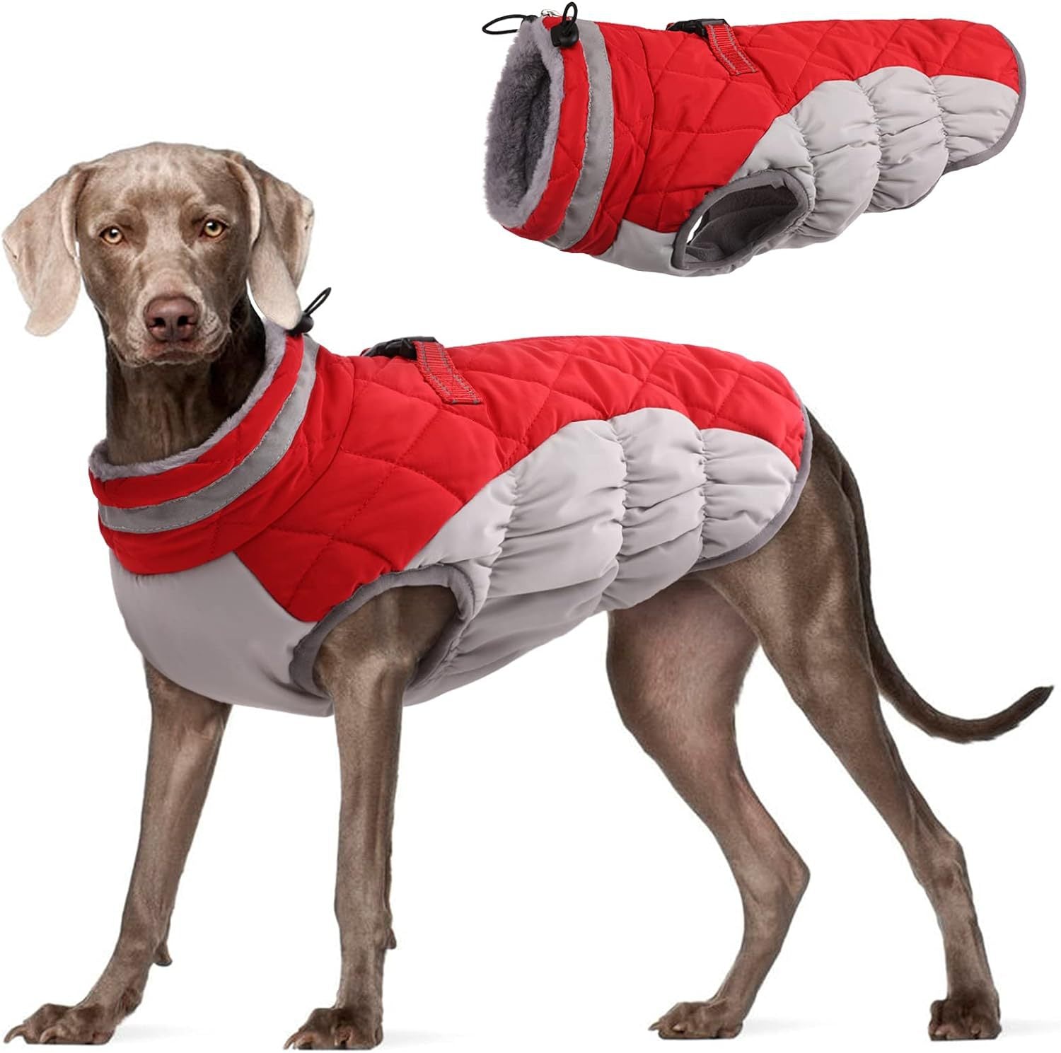 Winter Windproof Fleece-Lined Dog Coat