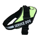 Dog Harness Leash
