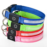 Pet charging and glowing collar