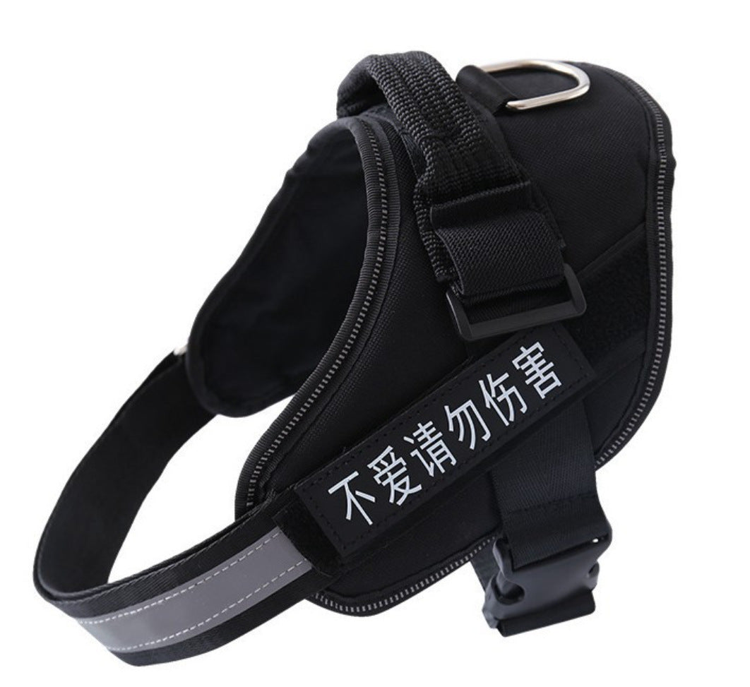 Dog Harness Leash
