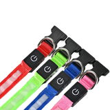 Pet charging and glowing collar