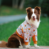 Dog Elbow Protection Clothing