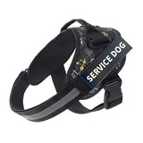 Dog Harness Leash