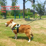 Dog Harness Leash