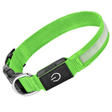 Pet charging and glowing collar