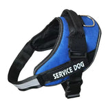 Dog Harness Leash