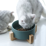 Cat food bowl