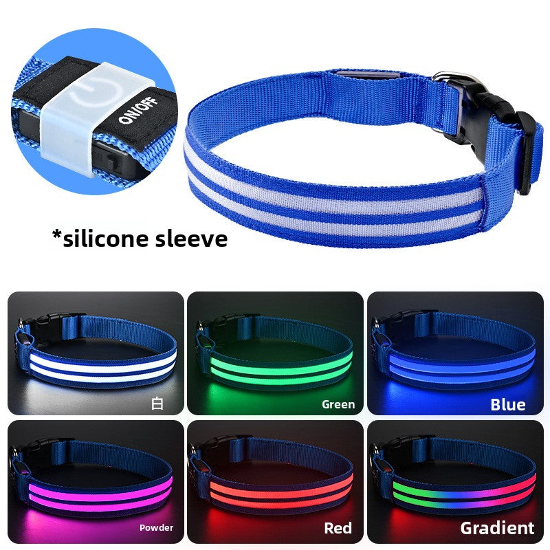 Multicolored glowing dog collar