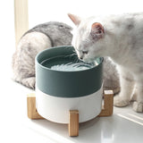 Cat food bowl
