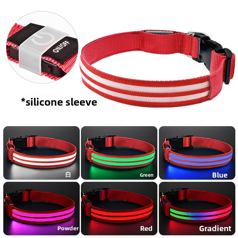 Multicolored glowing dog collar