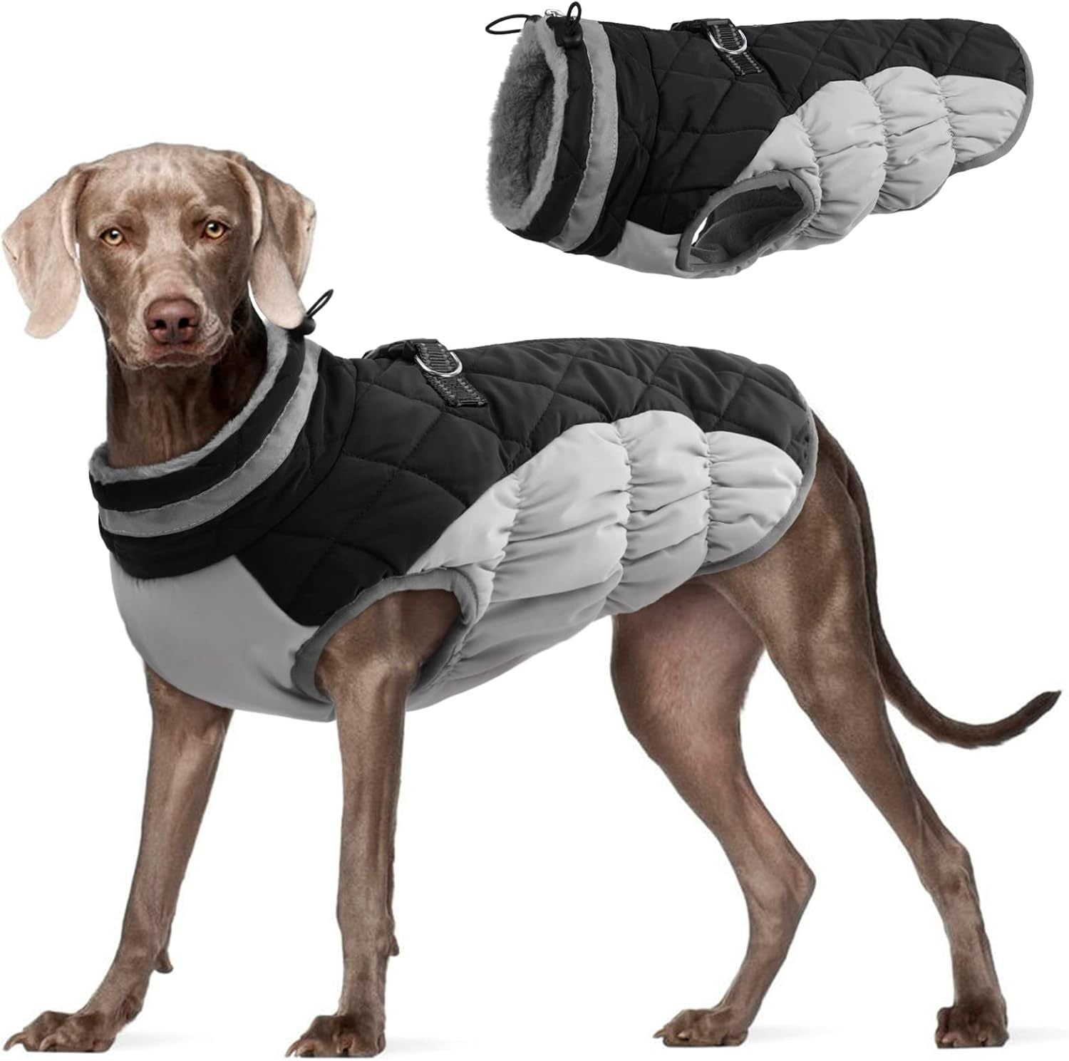 Winter Windproof Fleece-Lined Dog Coat