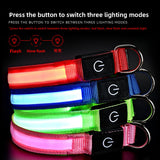 Pet charging and glowing collar
