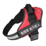Dog Harness Leash
