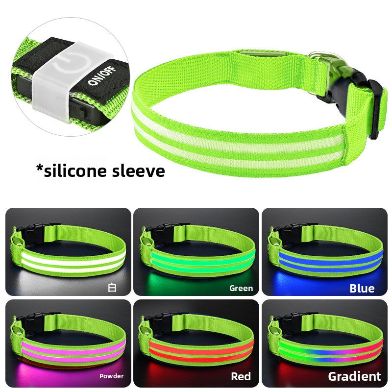 Multicolored glowing dog collar