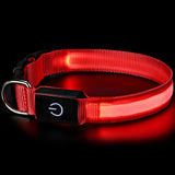 Pet charging and glowing collar