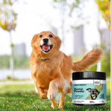 Pet tooth cleaning powder