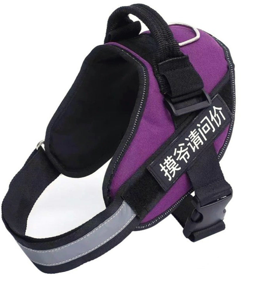 Dog Harness Leash