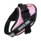 Dog Harness Leash